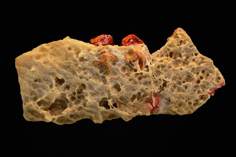 REALGAR